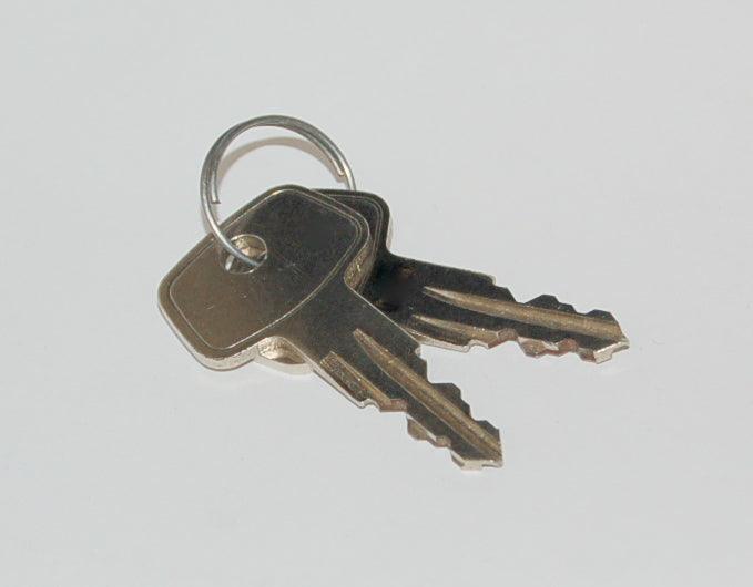 Bionx Replacement Key